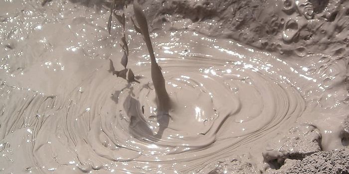 If They Must, Methane-Eating Microbes Will Consume Ammonia