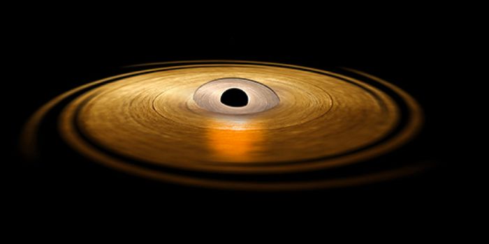 Black Hole Observed Exhibiting 'Wobble' From Gravitational Vortex
