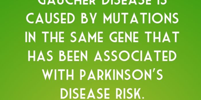 Research on Rare Gaucher Disease Helps Pinpoint Treatment for Parkinson's Disease