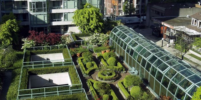 City Solutions - Green Rooftops in Urban Spaces