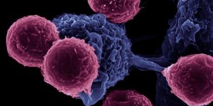 "Supercharging" Natural Killer Cells to Kill Cancer