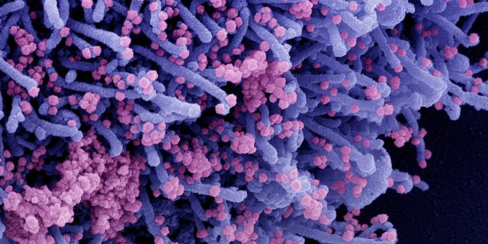 Merck's COVID-19 Drug Halves Risk of Death in Mild & Moderate Cases