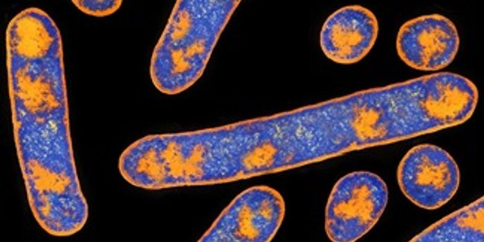 UCI Researchers Study Way to Block Botulism