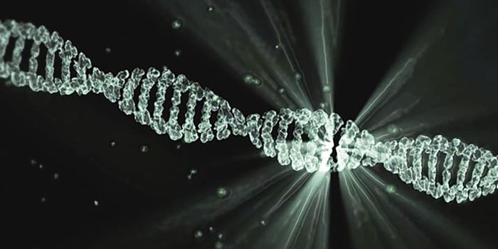 Intriguing Mutations in 'Junk' DNA Can Protect Against ALS