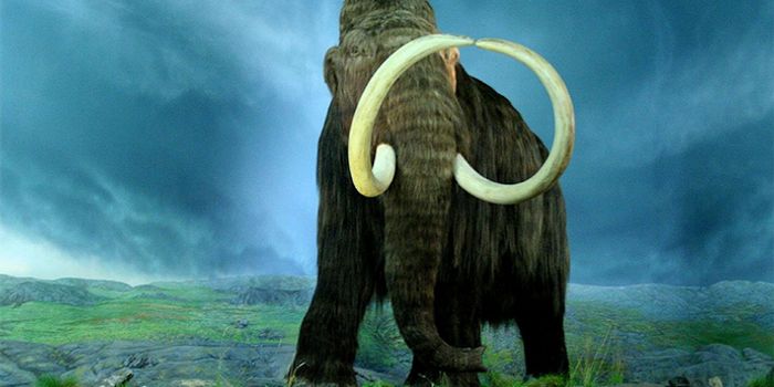 Welcome back old friend