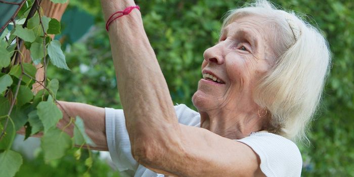 Researchers Create an Atlas of Genetic Influences on Osteoporosis