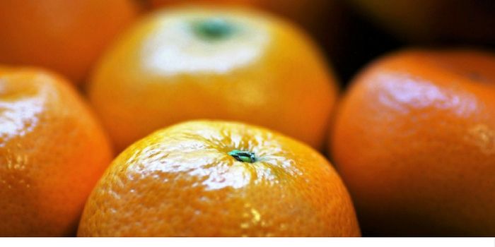 Vitamin C & Antibiotics: A Potent Duo Against Cancer?