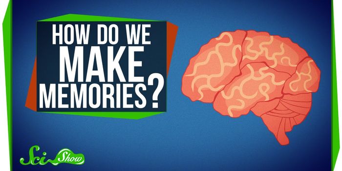 How Our Brains Make Memories