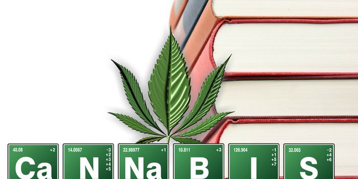 First Medicinal Plant Chemistry Bachelor's Degree in the US