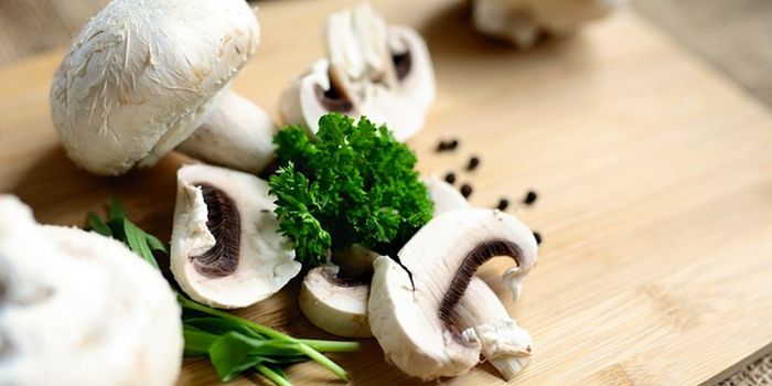 Plant-Based Meats Healthier Than Animal Meat for Your Heart