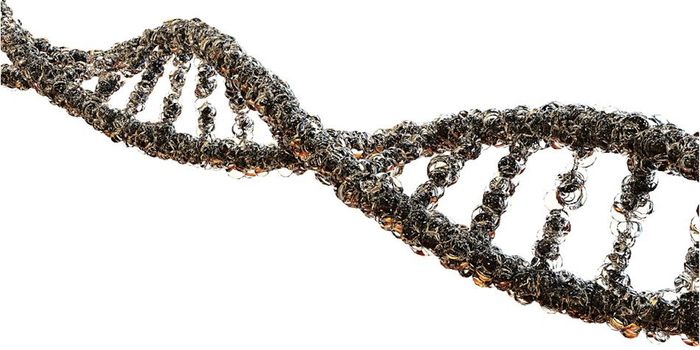 New Insights Into Kabuki Syndrome