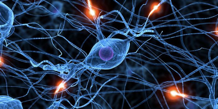 ALS, Schizophrenia Found to Have Biological Link