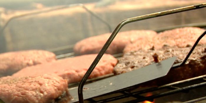 Learn To Grill Like a PRO This Summer