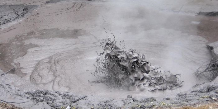 Link Between Ancient Cells Sheds Light on the Origins of Life