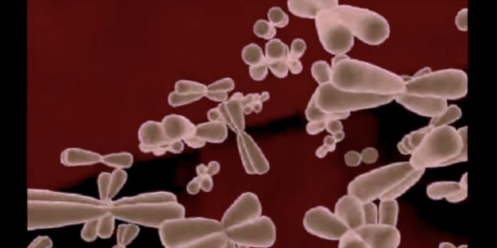 The Dark Heart of the Human Genome Carries Ancient DNA