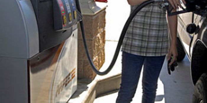 The Promise of Cheaper Biofuels from 