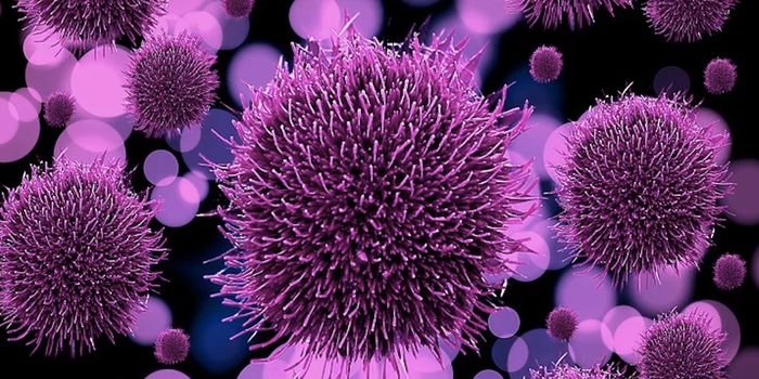 Gut Bacteria Affect How the Colon Moves