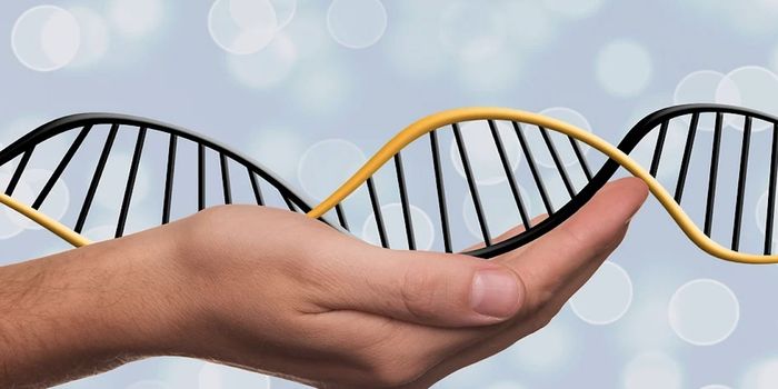 Expanding Our View of How Gene Variants Affect Blood Cells