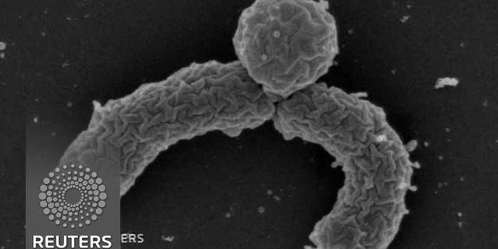 A device to usher in a new age of antibiotic drug discoveries