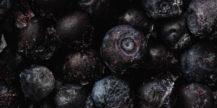 Flavonoids Linked to Lower Mortality Rate Among People with Parkinson's