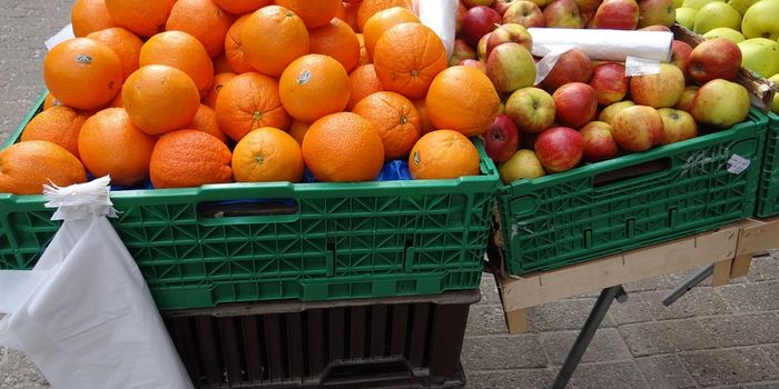 We need to rethink "biodegradable"