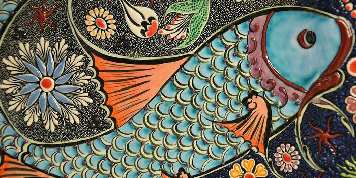 Can fish skin help heal wounds?