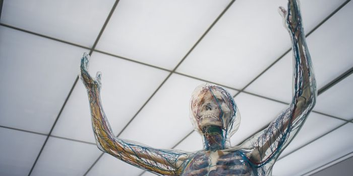 3D Skin Printer Promotes Healing