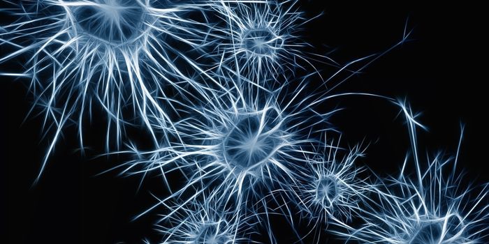 There Are 'Hotspots' of Genomic Repair in Neurons