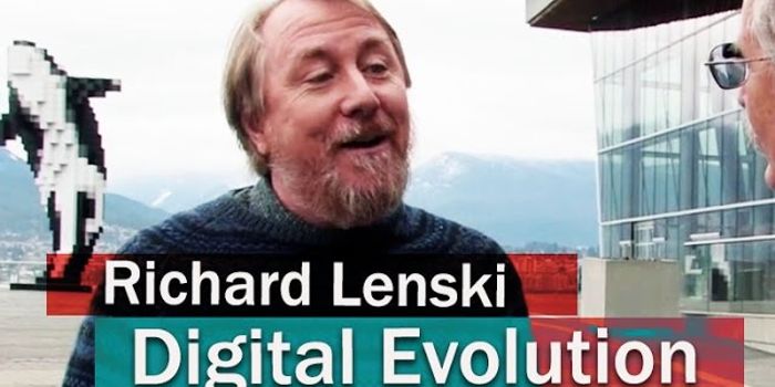 Evolution in the Bacterial and Digital Laboratory