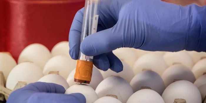 A Week for World Immunization