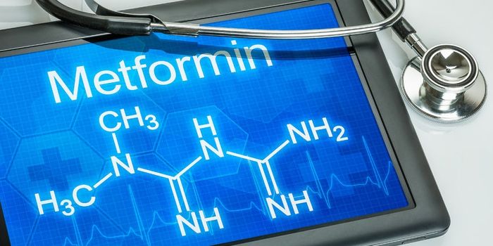 Gut microbes and metformin team up