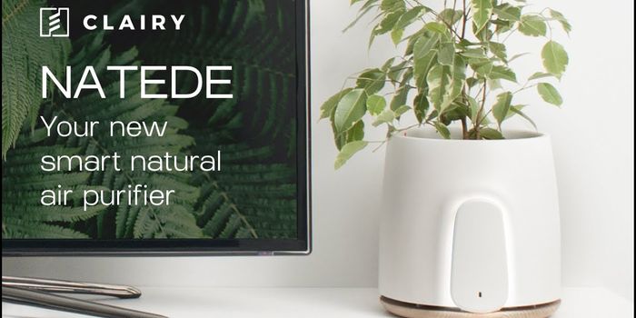 Pretty Air Filter Uses Plants, Doesn't Require Replacement Filters