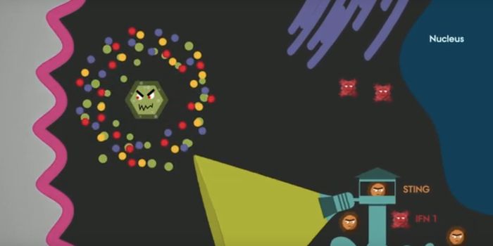 Researchers Detect a Vulnerability in Viruses