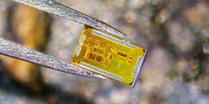 Custom Chip Turns Smartphones into Radio-Frequency Identification Readers