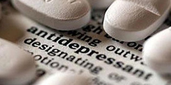 Antidepressants Restore Inhibitory Neurons in Mice