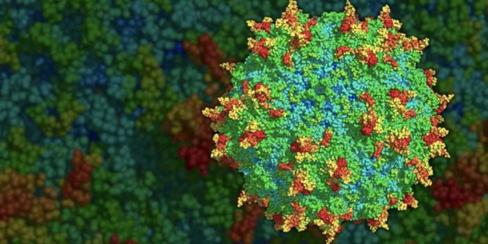 Engineering a Better Viral Delivery System for Gene Therapy
