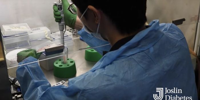 Brown Fat Transplants Could Reduce Metabolic Disease