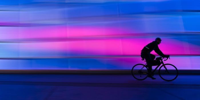 Despite Healthier Lifestyle Urban Cyclists Exposed To High Levels Of Air Pollution