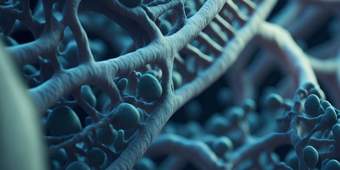 Newly Revealed Protein Release Mechanism May be Universal