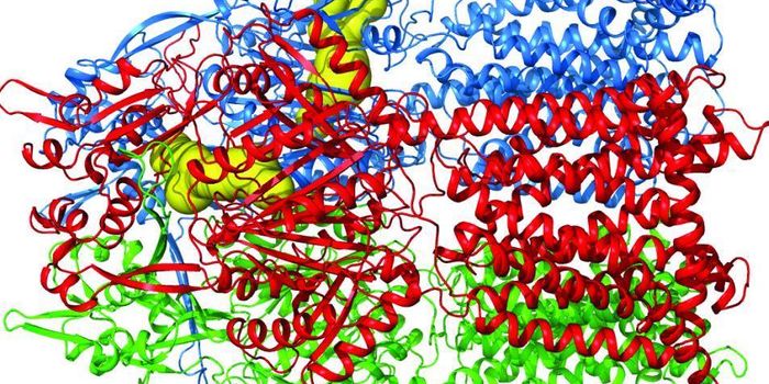 Structural, Mechanistic Data Gives Insight Into Bacterial Resistance