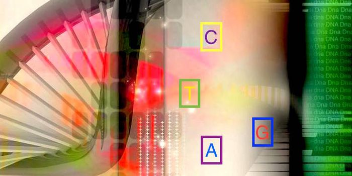 ‘Junk DNA' Exposed - Transient Gene Expression Can Now Be Studied