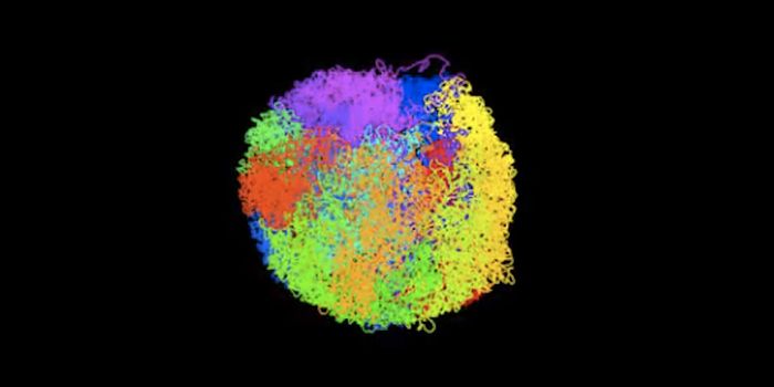 3D Structure of Active DNA is Revealed