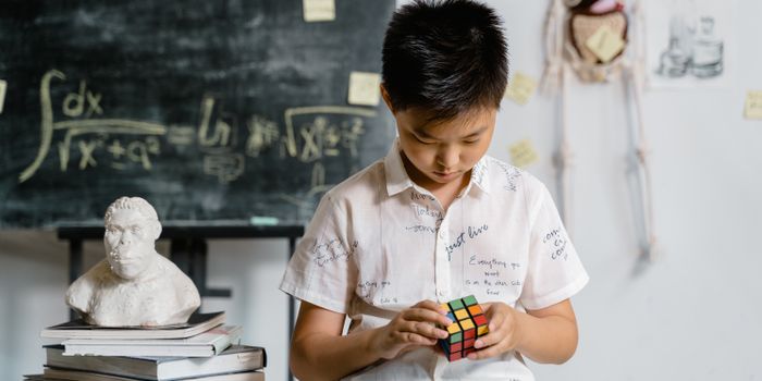 Stress & Cognitive Function: Friend or Foe?