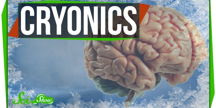 Brains On Ice Live Forever?