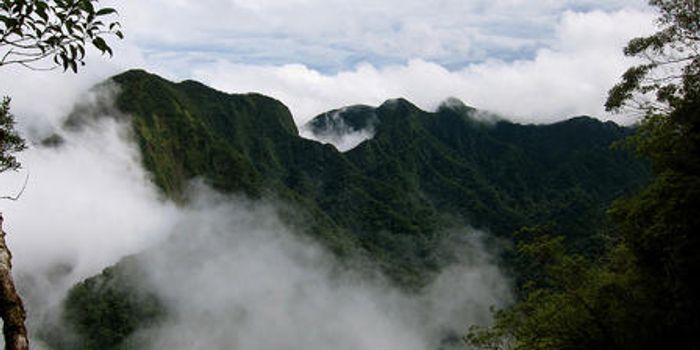 What logging does to your water