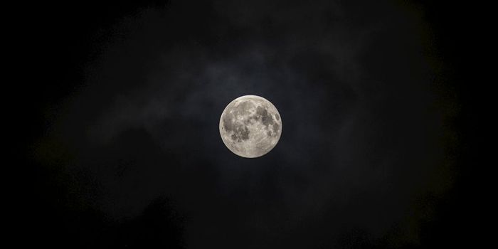 Odysseus Moon Lander Breaks a Leg Upon Touchdown