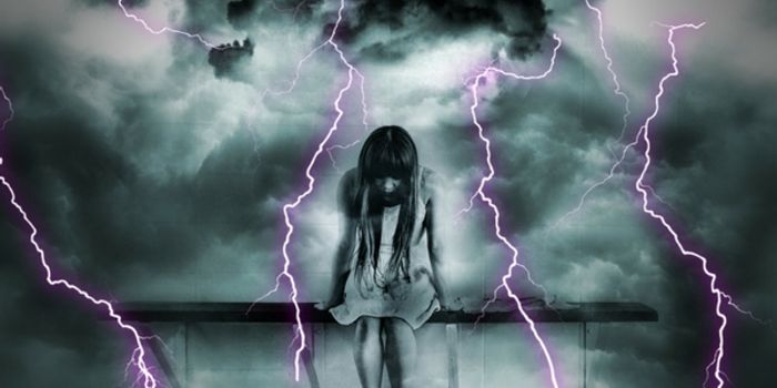 Seeing What Stress Does to the Brain