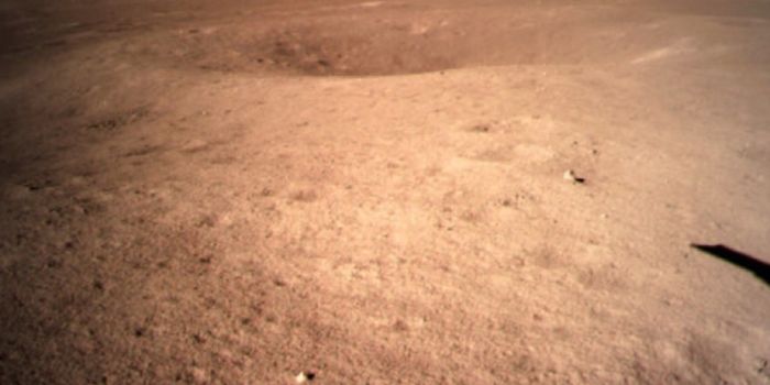 Chinese Rover Begins Scientific Exploration on Moon's 'Dark Side'