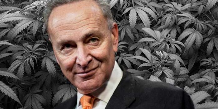 Senators Push to Increase Research Opportunities for Cannabis