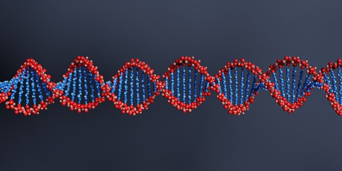 Gene Transcription Gets Faster but Gains Flaws with Age